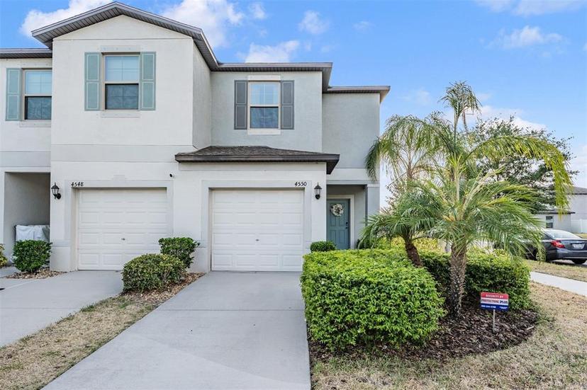 Picture of 4550 Globe Thistle Drive, Tampa FL 33619