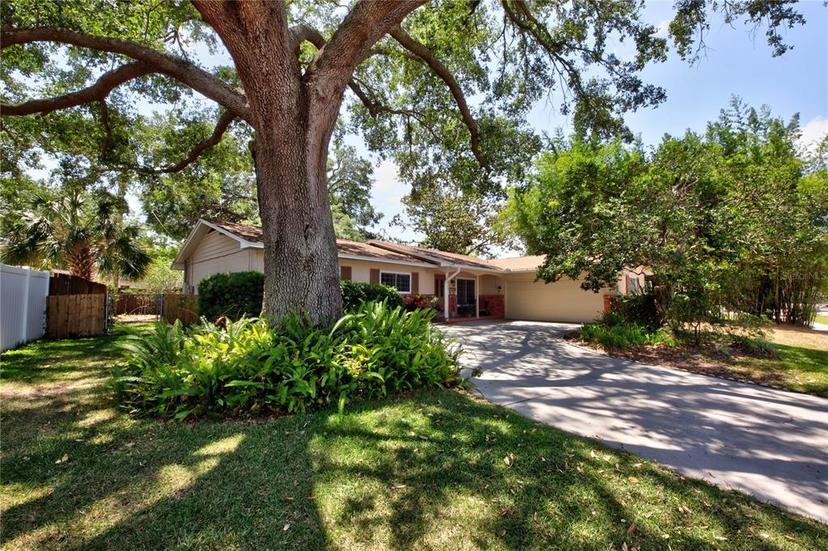Picture of 3306 Lacewood Road, Tampa FL 33618