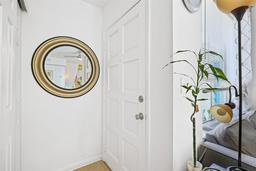 Picture of 4306 La Mora Court, Tampa, FL 33611
