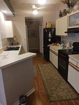 Picture of 8008 La Serena Drive, Tampa, FL 33614