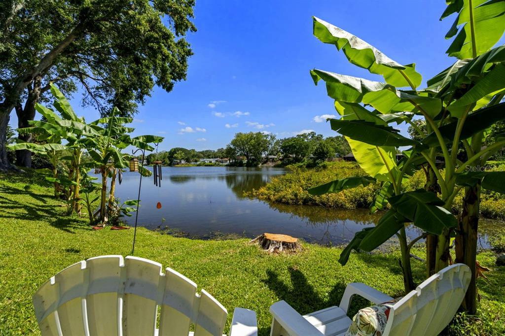 Picture of 1393 Chesterfield Drive, Dunedin, FL 34698