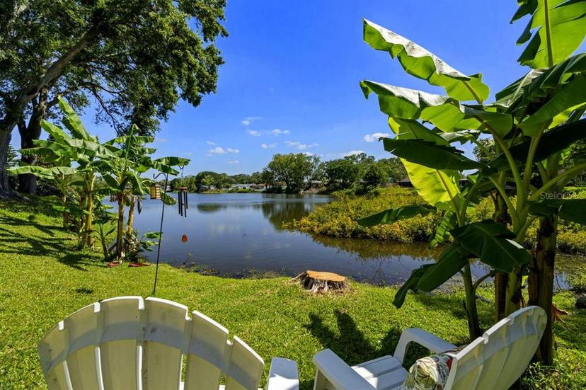 Picture of 1393 Chesterfield Drive, Dunedin FL 34698