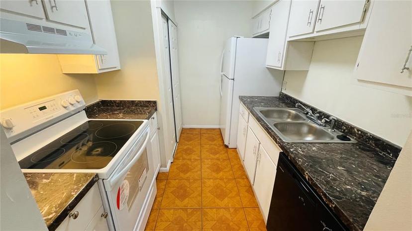 Picture of 5504 Pokeweed Court Unit 154, Tampa FL 33617