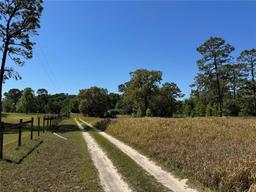 Picture of 16162 SW 44Th Street, Ocala, FL 34481