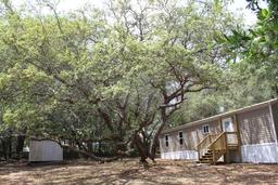 Picture of 9800 SE 166Th Place, Summerfield, FL 34491