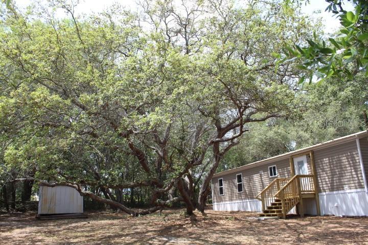 Picture of 9800 SE 166Th Place, Summerfield FL 34491