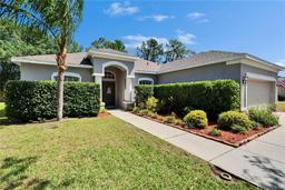 Picture of 12802 Cattail Shore Lane, Riverview, FL 33579