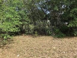 Picture of 224 Cologne Street, Interlachen, FL 32148