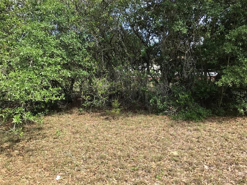 Picture of 224 Cologne Street, Interlachen FL 32148