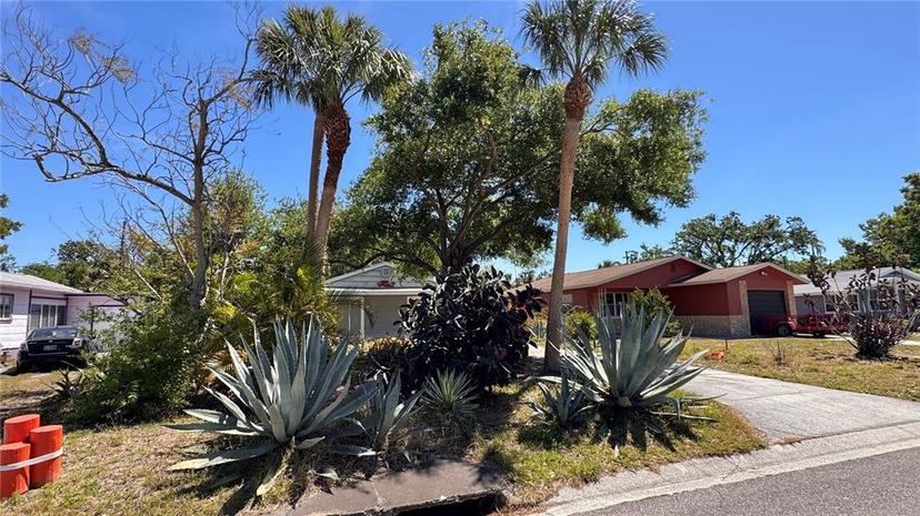 Picture of 2448 45Th Street S, St Petersburg FL 33711