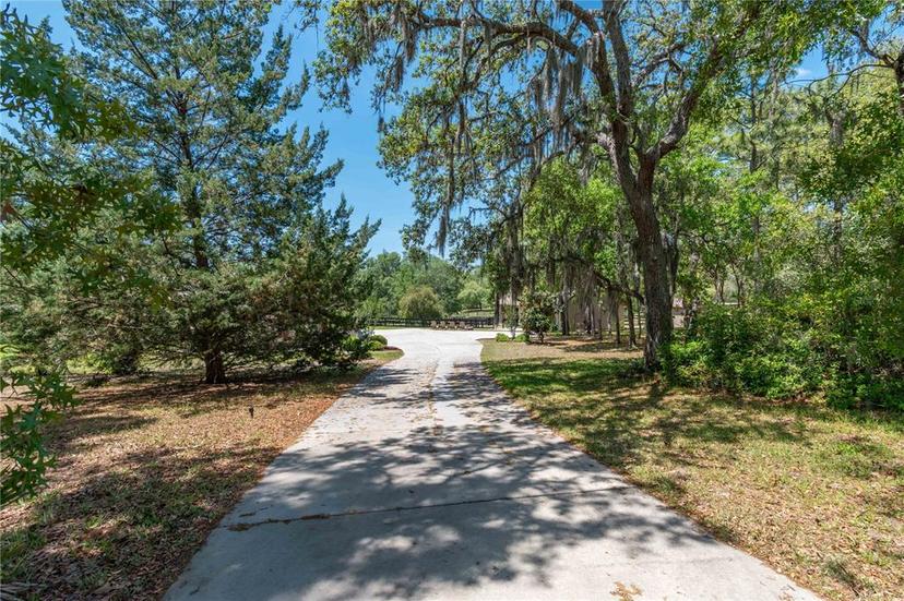 Picture of 3428 N Bravo Drive, Beverly Hills FL 34465