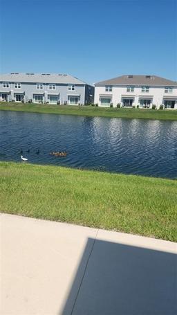 Picture of 4762 Sparkling Shell Avenue, Kissimmee, FL 34746