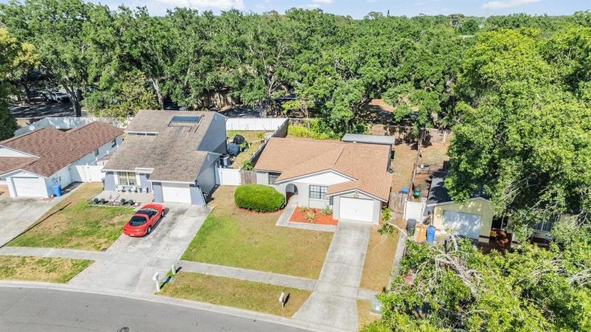 Picture of 16309 Caliente Place, Tampa FL 33624