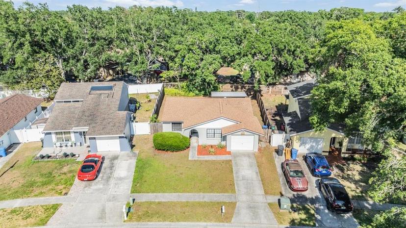 Picture of 16309 Caliente Place, Tampa FL 33624