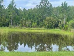 Picture of 1414 Fox Squirrel Drive, Davenport, FL 33897