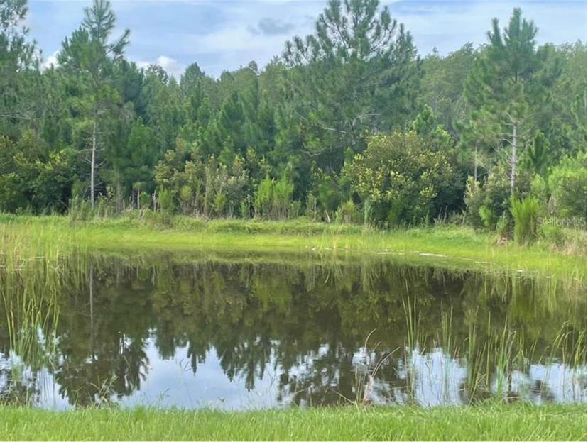 Picture of 1414 Fox Squirrel Drive, Davenport FL 33897