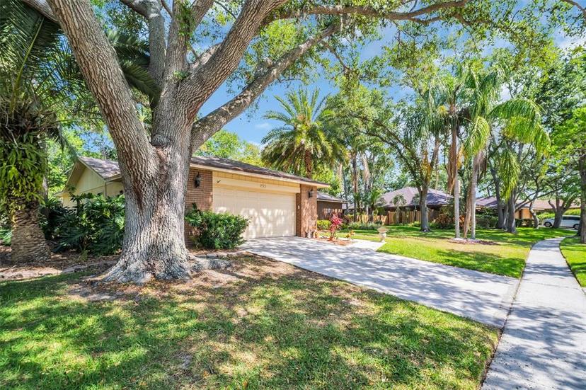 Picture of 495 Palmdale Drive, Oldsmar FL 34677