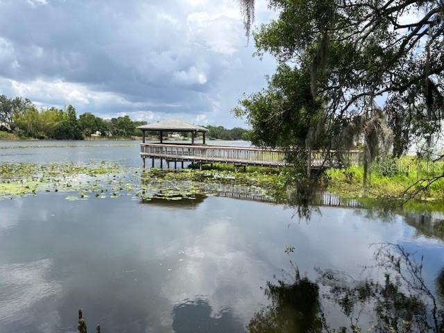 Picture of 4127 Dolphin Drive Unit 4127, Tampa FL 33617