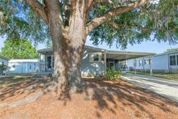 Picture of 807 Oak Boulevard, Wildwood, FL 34785