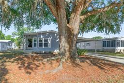 Picture of 807 Oak Boulevard, Wildwood, FL 34785