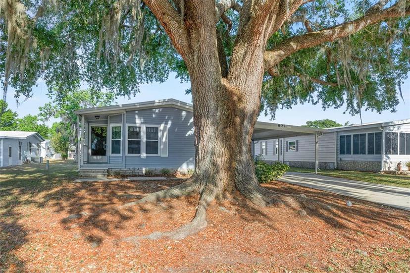 Picture of 807 Oak Boulevard, Wildwood FL 34785