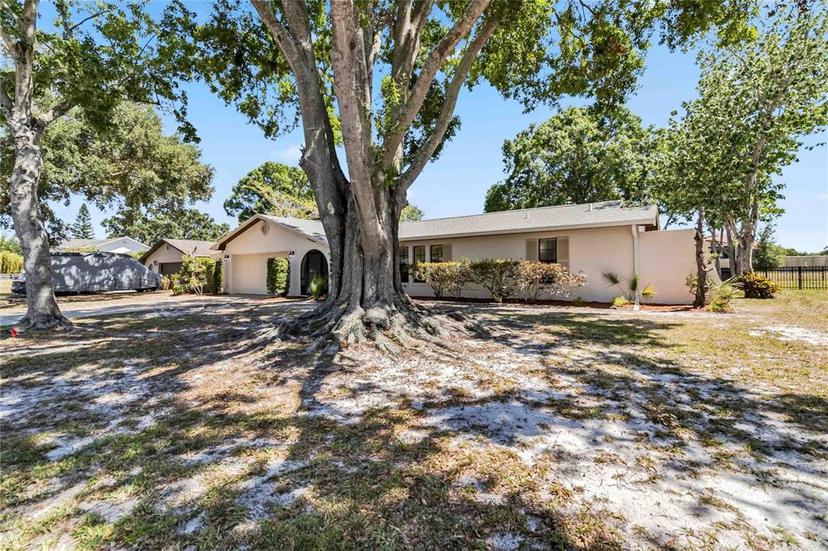 Picture of 2007 Peach Tree Boulevard, St Cloud FL 34769