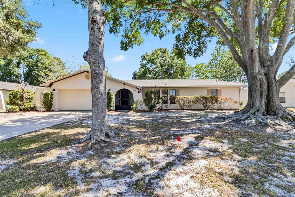 Picture of 2007 Peach Tree Boulevard, St Cloud, FL 34769