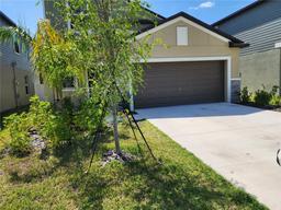 Picture of 12537 Timber Moss Lane, Riverview, FL 33579