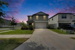 Picture of 9907 Spanish Lime Court, Riverview, FL 33578