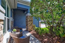 Picture of 14727 Tudor Chase Drive, Tampa, FL 33626