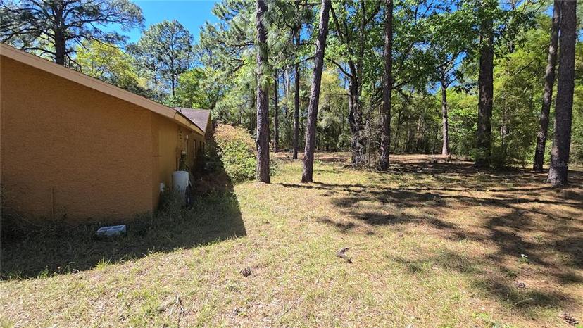 Picture of 20045 SW 88Th Place Road, Dunnellon FL 34431
