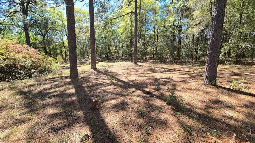 Picture of 20045 SW 88Th Place Road, Dunnellon FL 34431