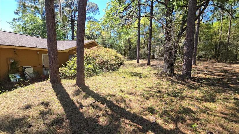 Picture of 20045 SW 88Th Place Road, Dunnellon FL 34431