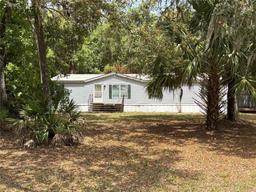 Picture of 118 Wildcat Trail, Palatka, FL 32177