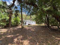 Picture of 118 Wildcat Trail, Palatka, FL 32177