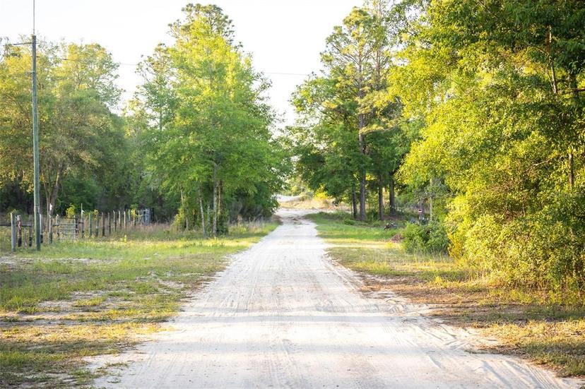 Picture of 8320 NE 100 Avenue, Bronson FL 32621
