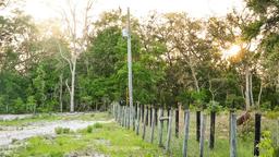 Picture of 8320 NE 100 Avenue, Bronson, FL 32621