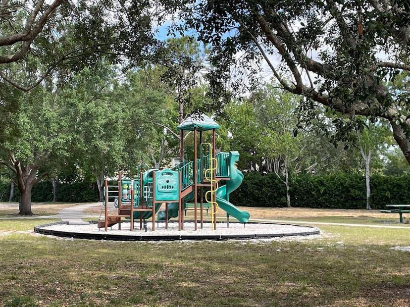 Picture of 313 Morning Creek Circle, Apopka FL 32712