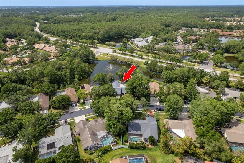 Picture of 3138 Edgemoor Drive, Palm Harbor FL 34685