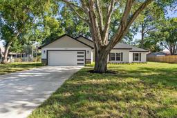 Picture of 10033 Canterbury Drive, Leesburg, FL 34788