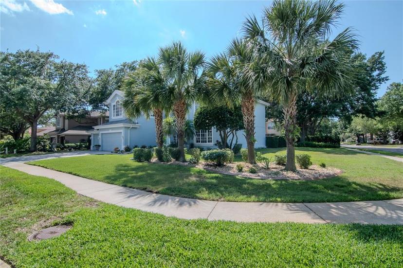 Picture of 4063 Ligustrum Drive, Palm Harbor FL 34685