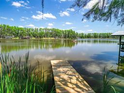 Picture of 6317 Discovery Lane, Land O Lakes, FL 34638