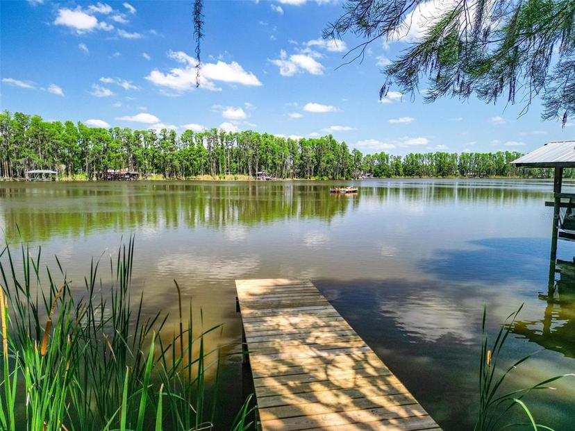 Picture of 6317 Discovery Lane, Land O Lakes FL 34638