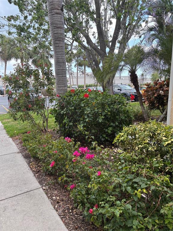 Picture of 618 Bird Bay Drive S Unit 109, Venice FL 34285