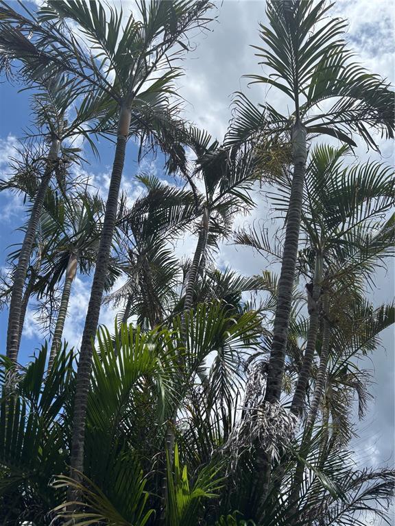 Picture of 618 Bird Bay Drive S Unit 109, Venice FL 34285