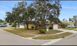 Picture of 11902 Snapdragon Road, Tampa, FL 33635