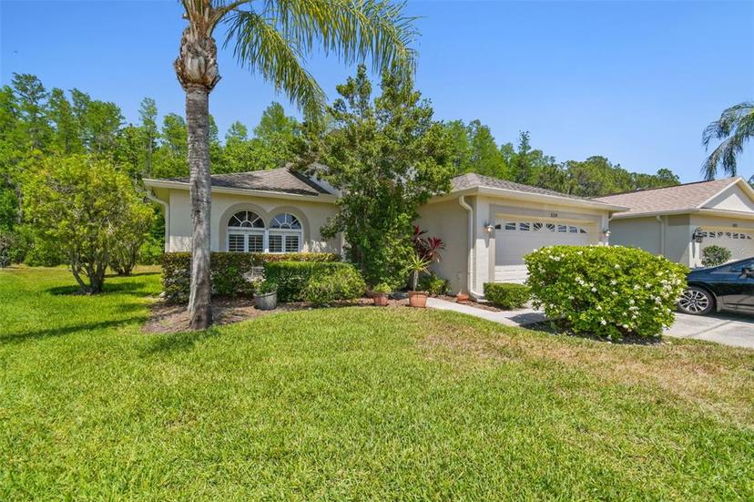 Picture of 1119 Dustan Place, Trinity FL 34655