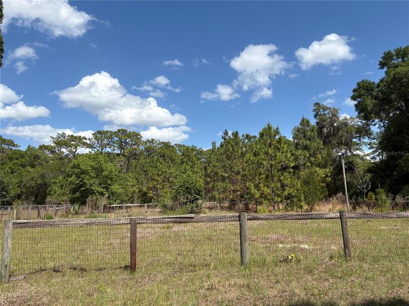 Picture of 15231 NE 14Th St Rd Road, Silver Springs FL 34488