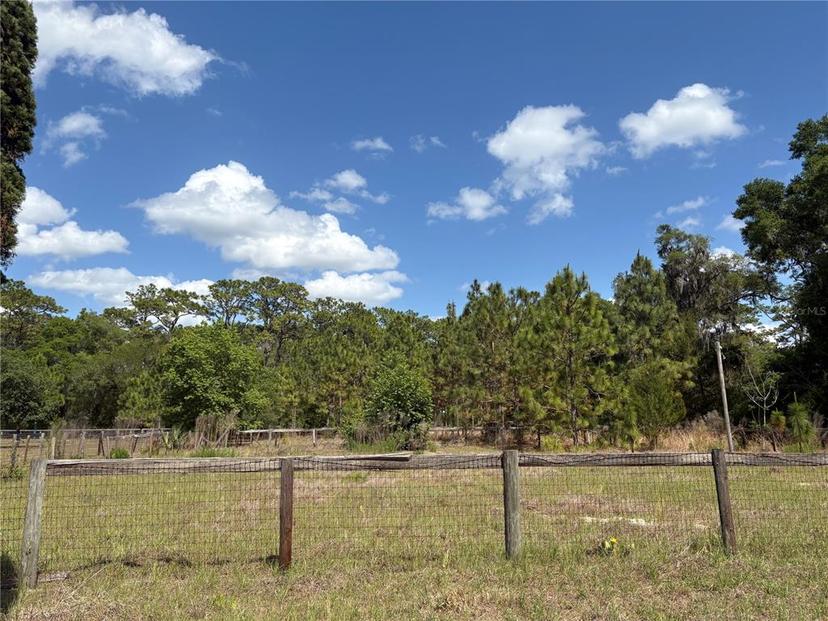 Picture of 15231 NE 14Th St Rd Road, Silver Springs FL 34488