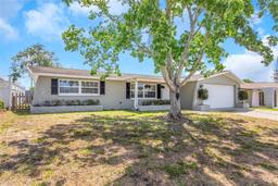 Picture of 3540 Cockatoo Drive, New Port Richey, FL 34652